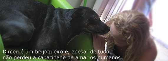 Conheça a história de um cachorrinho que foi capaz de comover pessoas de todo o Brasil com sua coragem e amor pela vida.
